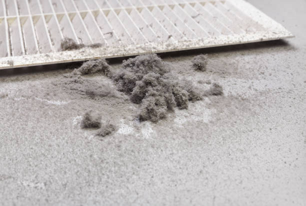 Best HVAC System Cleaning  in Burnsville, MN