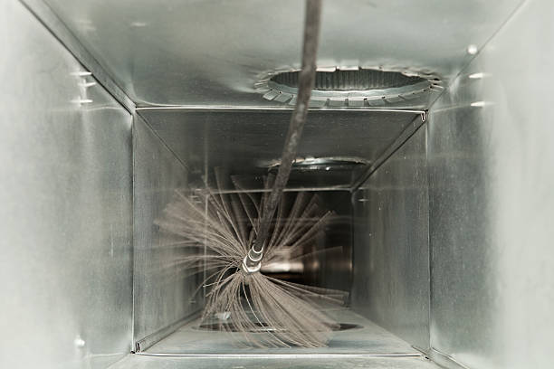 Air Duct Mold Removal in MN